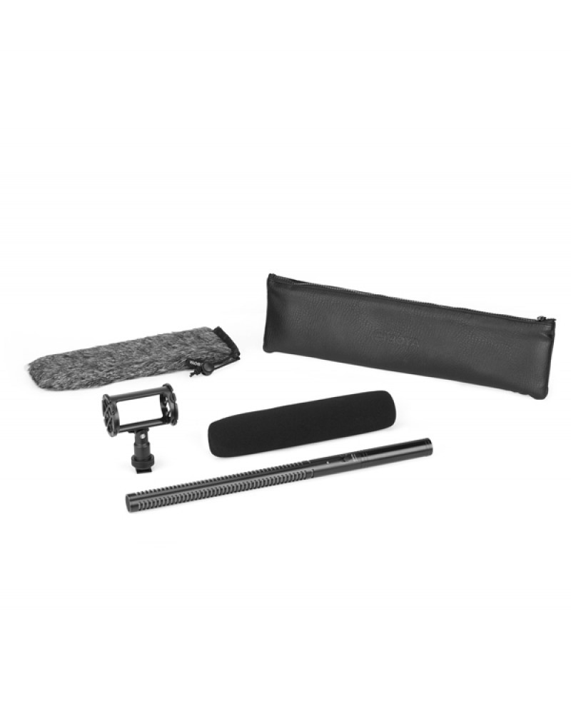 BOYA BY-BM6060 Super-Cardioid Condenser Microphone